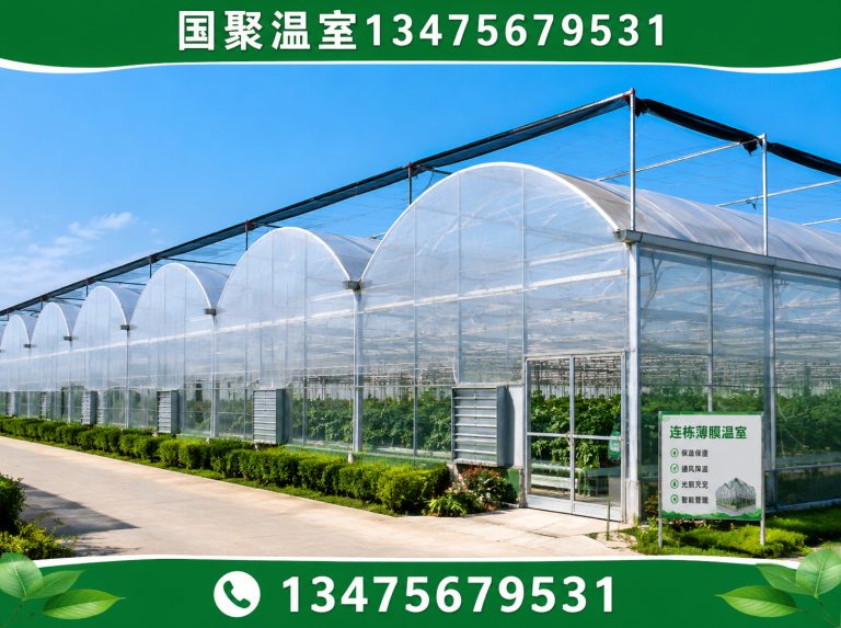 临朐县青州温室展示图