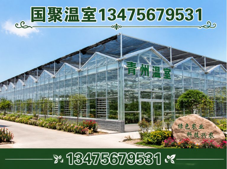 临朐县连栋薄膜温室展示图